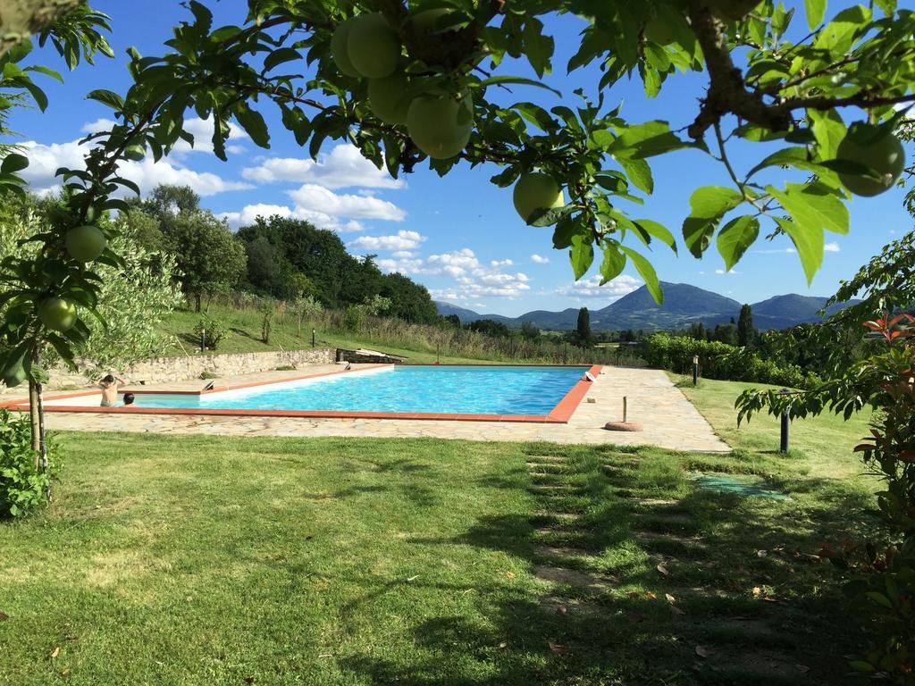 Agricola Caicucci Vila Montone  Quarto foto