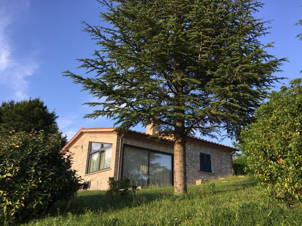 Agricola Caicucci Vila Montone  Quarto foto